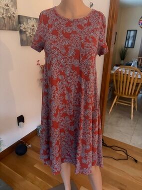 LuLaRoe Rust Dress with Light Blue Floral Print